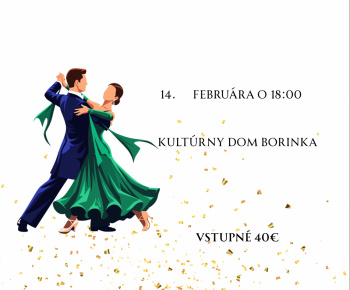 Aktuality / 3.ročník školského plesu Mš Borinka - foto